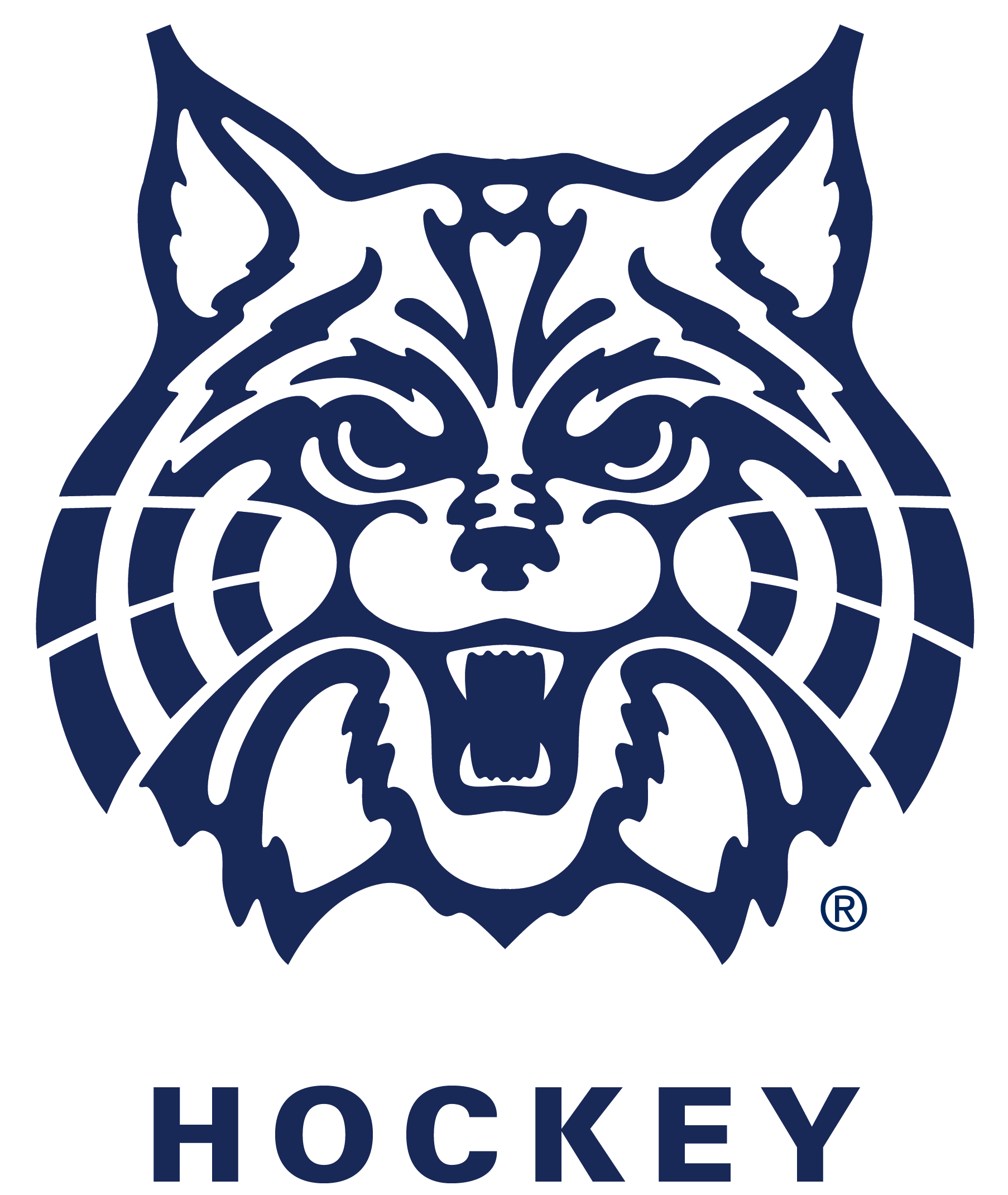 Team 1 Logo